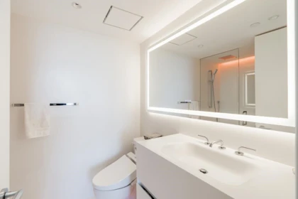 Entry Foyer Photo of 1202 1495 Richards Street, Vancouver, BC