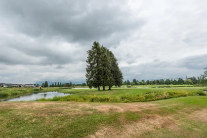 Aerial View of 129 19673 Meadow Gardens Way, Pitt Meadows, BC