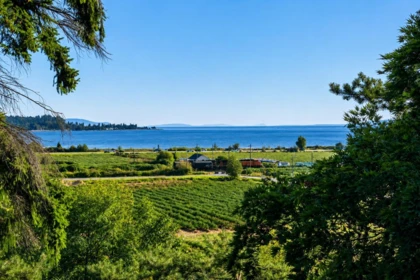 5242 Station Road, Surrey, BC, Surrey — Single Family Residence for sale