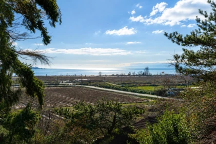 5242 Station Road, Surrey, BC, Surrey — Single Family Residence for sale