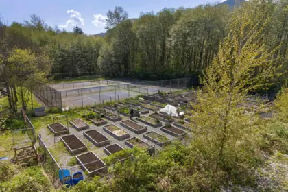 301 1150 Bailey Street, Squamish, BC, Squamish — Apartment/Condo for sale