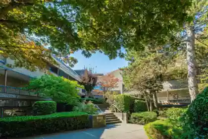 313 8460 Ackroyd Road, Richmond, BC, Richmond — Apartment/Condo for sale