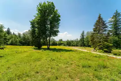 Staircase Photo of 28555 104 Avenue, Maple Ridge, BC