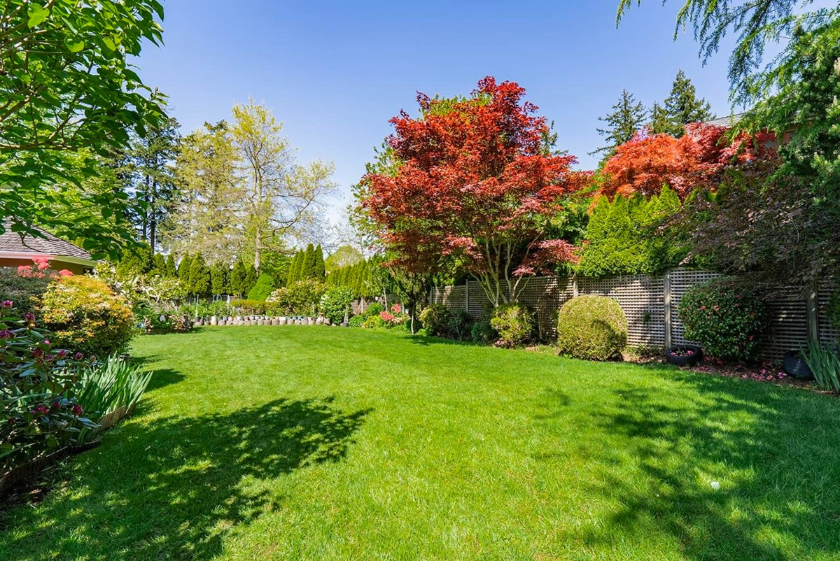 Street View Photo of 2488 138 Street, Surrey, BC