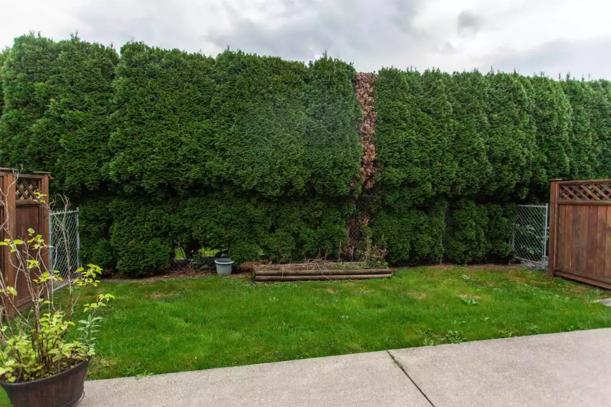 Entry Foyer Photo of 8 7519 Morrow Road, Agassiz, BC