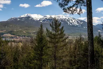 8365 Mountain View Drive, Whistler, BC, Whistler — Land for sale