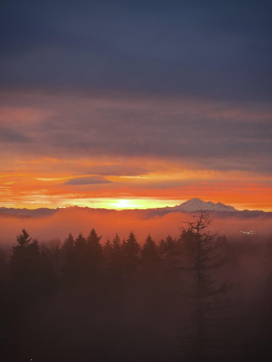 Entry Foyer Photo of 1905 3080 Lincoln Avenue, Coquitlam, BC