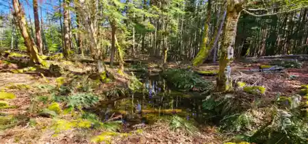 Lot 8 Mountain Road, Gambier Island, BC, Gambier Island — Land for sale