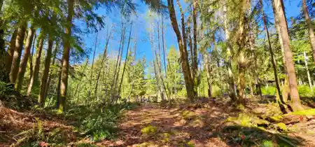 Lot 8 Mountain Road, Gambier Island, BC, Gambier Island — Land for sale
