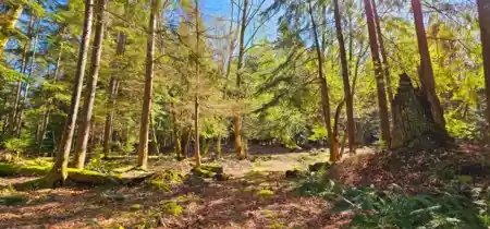 Kitchen Photo of Lot 8 Mountain Road, Gambier Island, BC