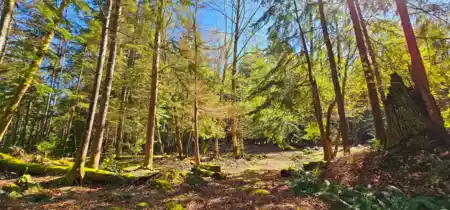 Lot 8 Mountain Road, Gambier Island, BC, Gambier Island — Land for sale