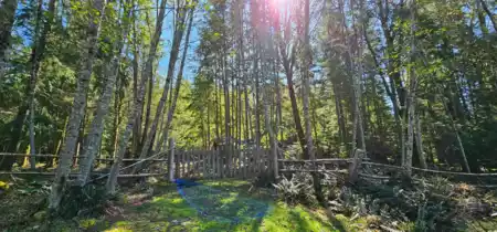 Pantry Photo of Lot 8 Mountain Road, Gambier Island, BC