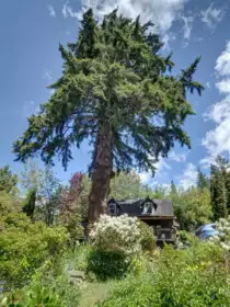 2602 Lower Road, Roberts Creek, BC, Roberts Creek — 7 bed single family residence for sale
