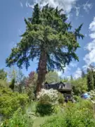 2602 Lower Road, Roberts Creek, BC