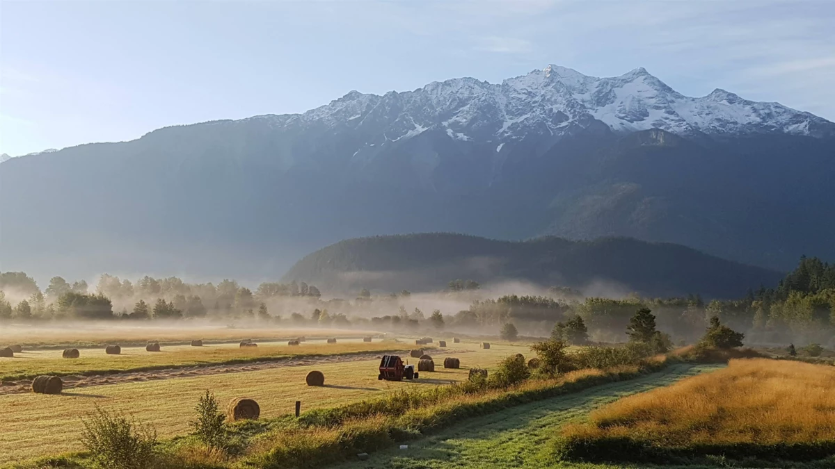 Neighborhood Park Photo Near 1380 Collins Road, Pemberton, BC