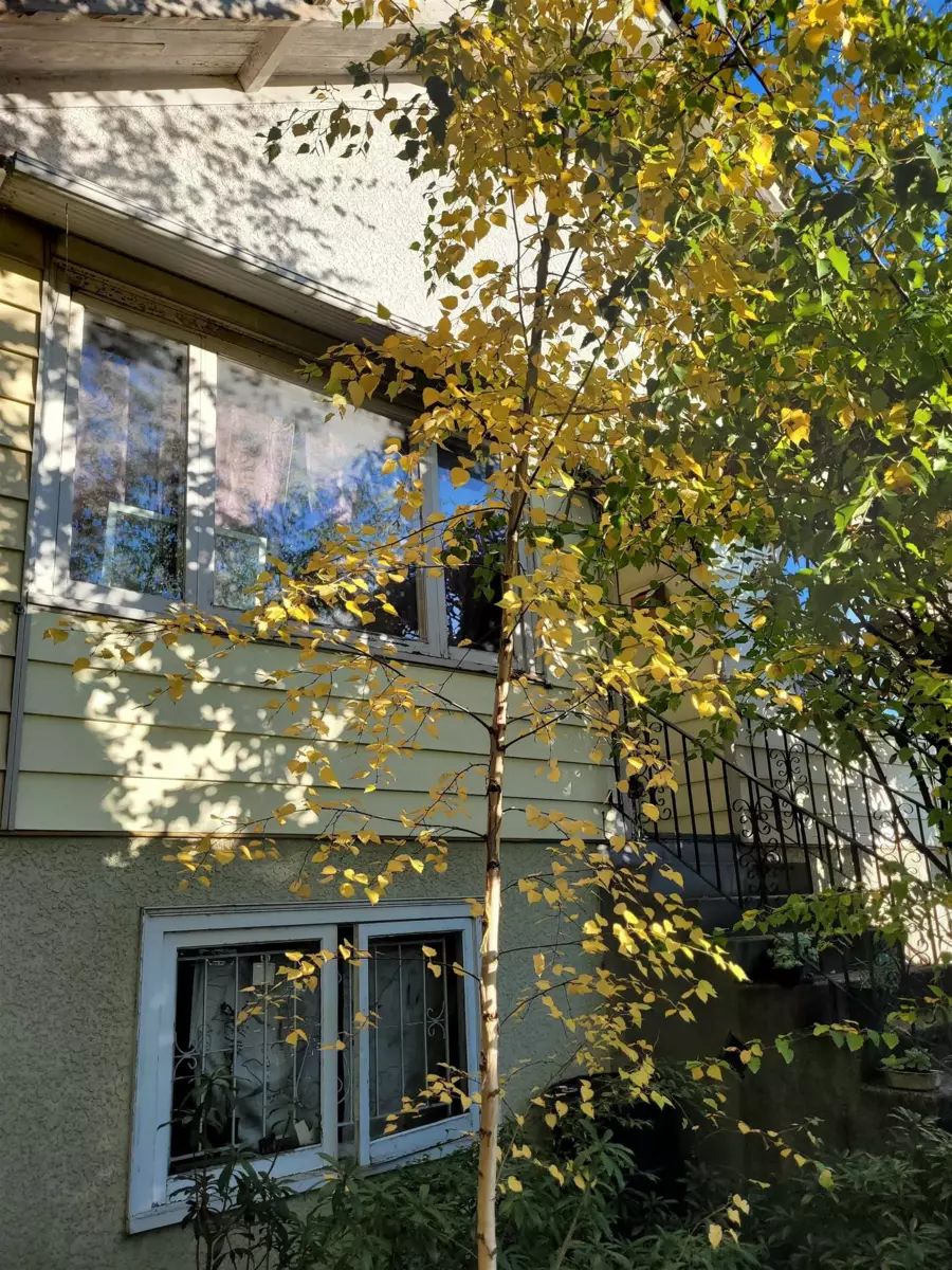 Breakfast Nook Photo of 6084 Chester Street, Vancouver, BC