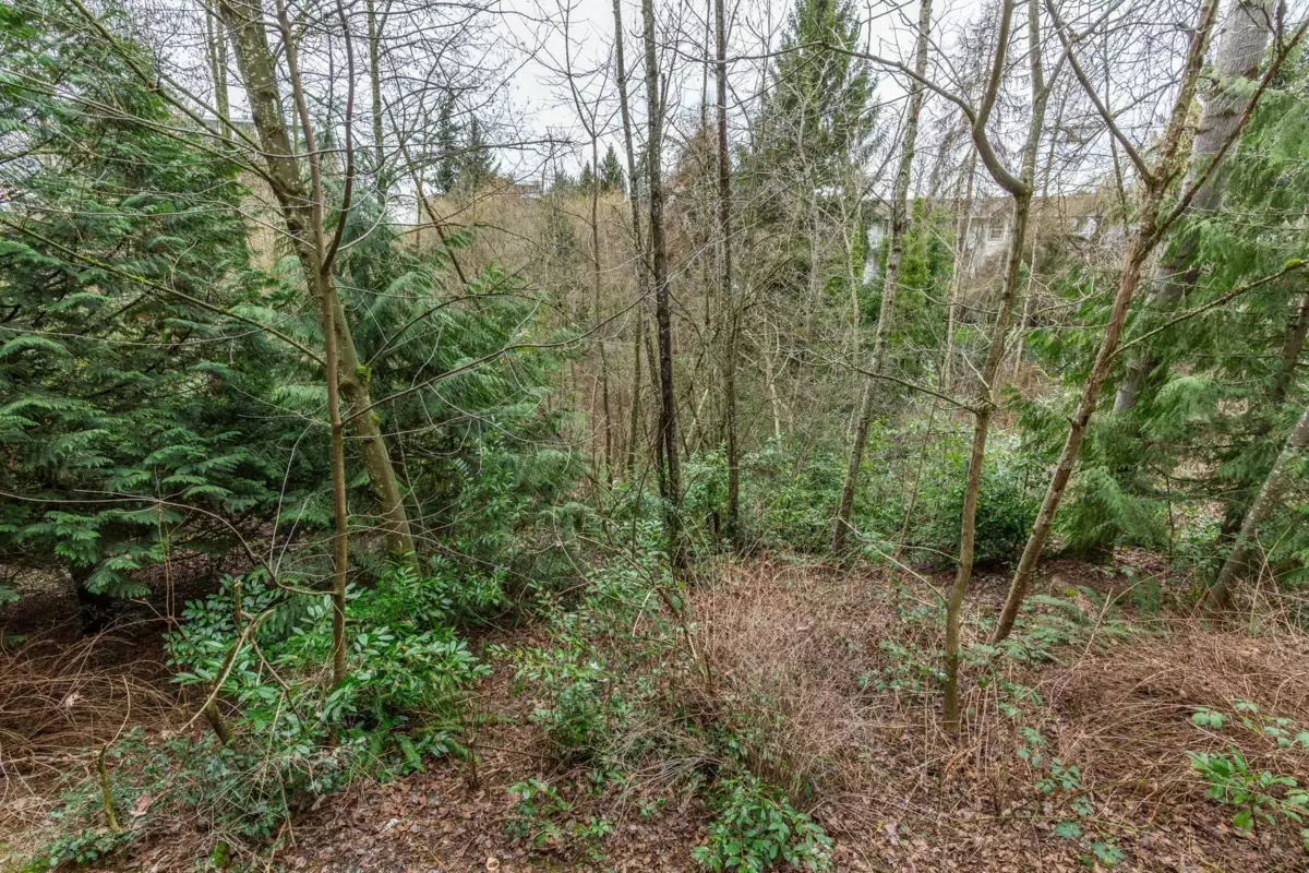 Basement Recreation Room Photo of 230 27358 32 Avenue, Langley, BC
