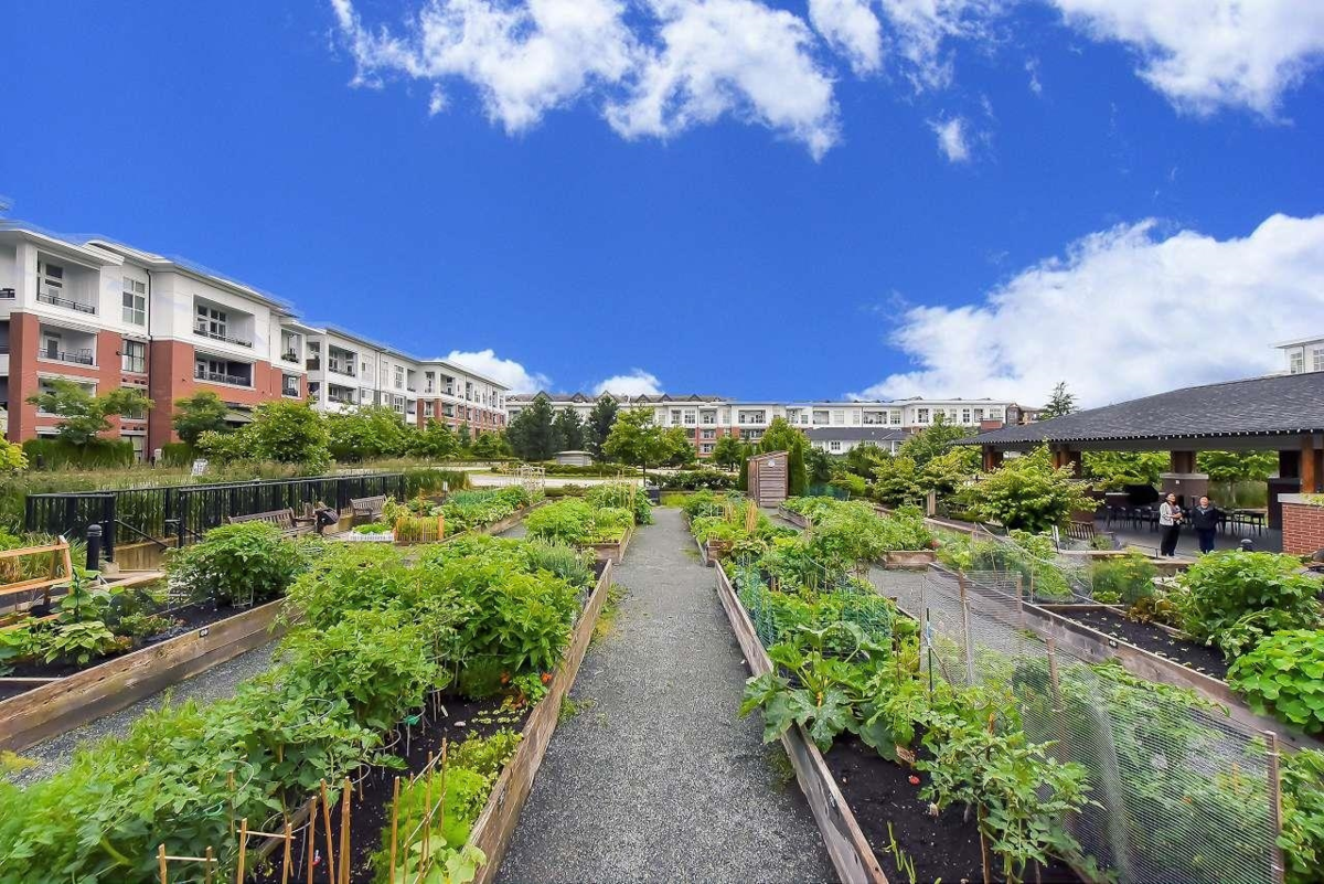 Aerial View of b220 8150 207 Street, Langley, BC