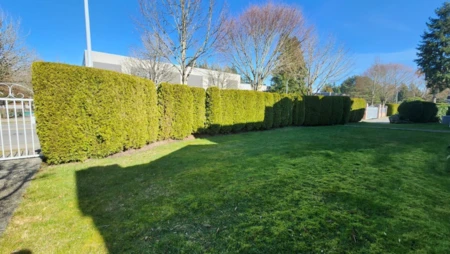Neighborhood Park Photo Near 30 9168 Fleetwood Way, Surrey, BC