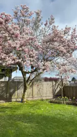 7540 Barkerville Court, Richmond, BC, Richmond — Single Family Residence for sale