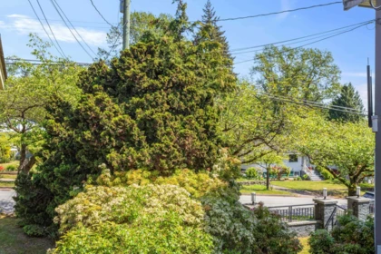 Outdoor Patio Photo of 7851 Joffre Avenue, Burnaby, BC