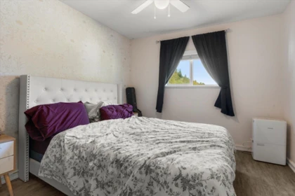 Basement Recreation Room Photo of 4495 Hirschman Road, Chilliwack, BC