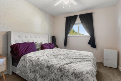 Basement Recreation Room Photo of 4495 Hirschman Road, Sardis - Chwk River Valley, BC