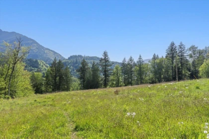 Front Yard Photo of 4495 Hirschman Road, Chilliwack, BC