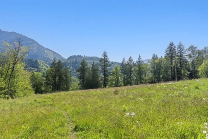 Front Yard Photo of 4495 Hirschman Road, Sardis - Chwk River Valley, BC
