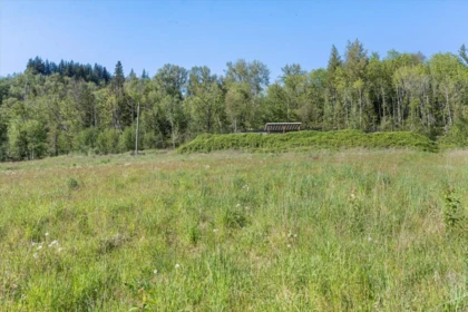 Garden / Landscaping Photo of 4495 Hirschman Road, Sardis - Chwk River Valley, BC
