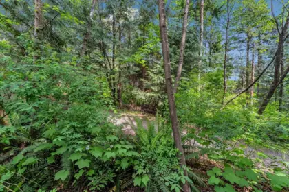 Backyard Photo of 177 Aspenwood Drive, Port Moody, BC