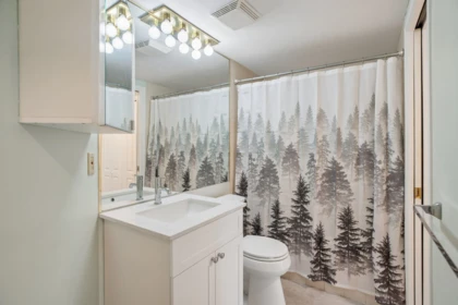 Primary Bathroom Photo of 409 2925 Glen Drive, Coquitlam, BC