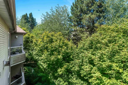 Swimming Pool Photo of 307 16137 83 Avenue, Surrey, BC