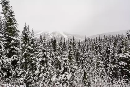 Street View Photo of 20806 Sakwi Creek Road, Agassiz, BC