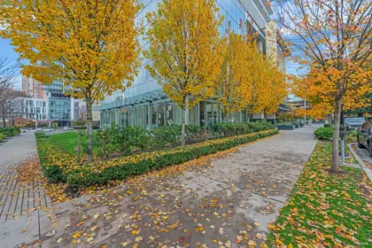 Backyard Photo of 3606 6383 Mckay Avenue, Burnaby, BC