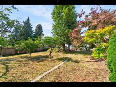 Outdoor Kitchen Photo of 4326 Rumble Street, Burnaby, BC