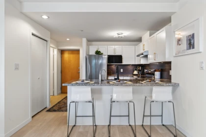 Kitchen Photo of 507 14 Begbie Street, New Westminster, BC