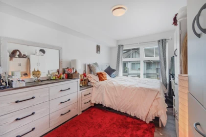Basement Recreation Room Photo of 469 27358 32 Avenue, Langley, BC