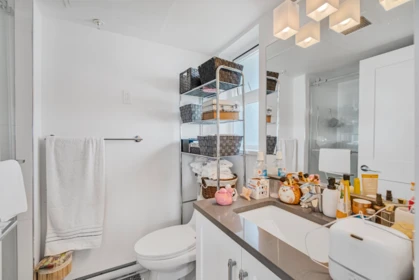 Laundry Room Photo of 469 27358 32 Avenue, Langley, BC