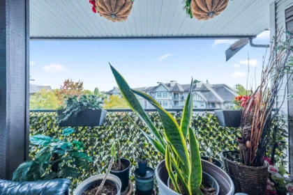 Staircase Photo of 469 27358 32 Avenue, Langley, BC