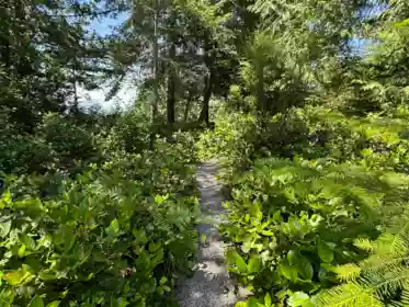 Backyard Photo of 6016 Leaning Tree Road, Halfmoon Bay, BC