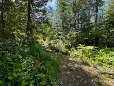 Hot Tub / Spa Photo of 6016 Leaning Tree Road, Halfmoon Bay, BC