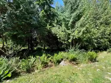 Staircase Photo of 6016 Leaning Tree Road, Halfmoon Bay, BC