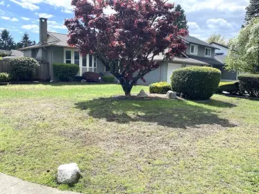 19420 Davison Road, Pitt Meadows, BC, Pitt meadows — Single Family Residence for sale