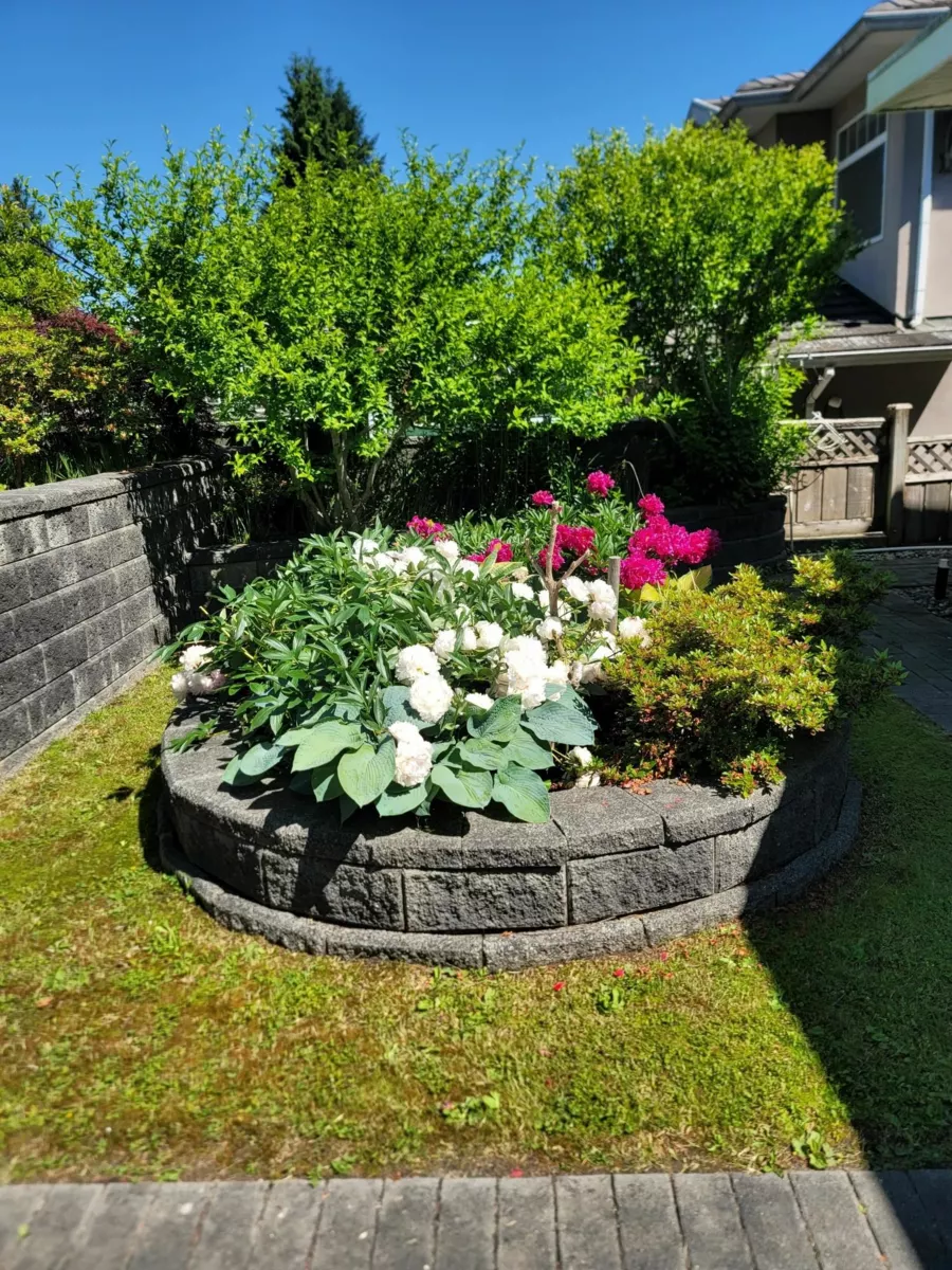 Living Room Photo of 3330 Douglas Road, Burnaby, BC