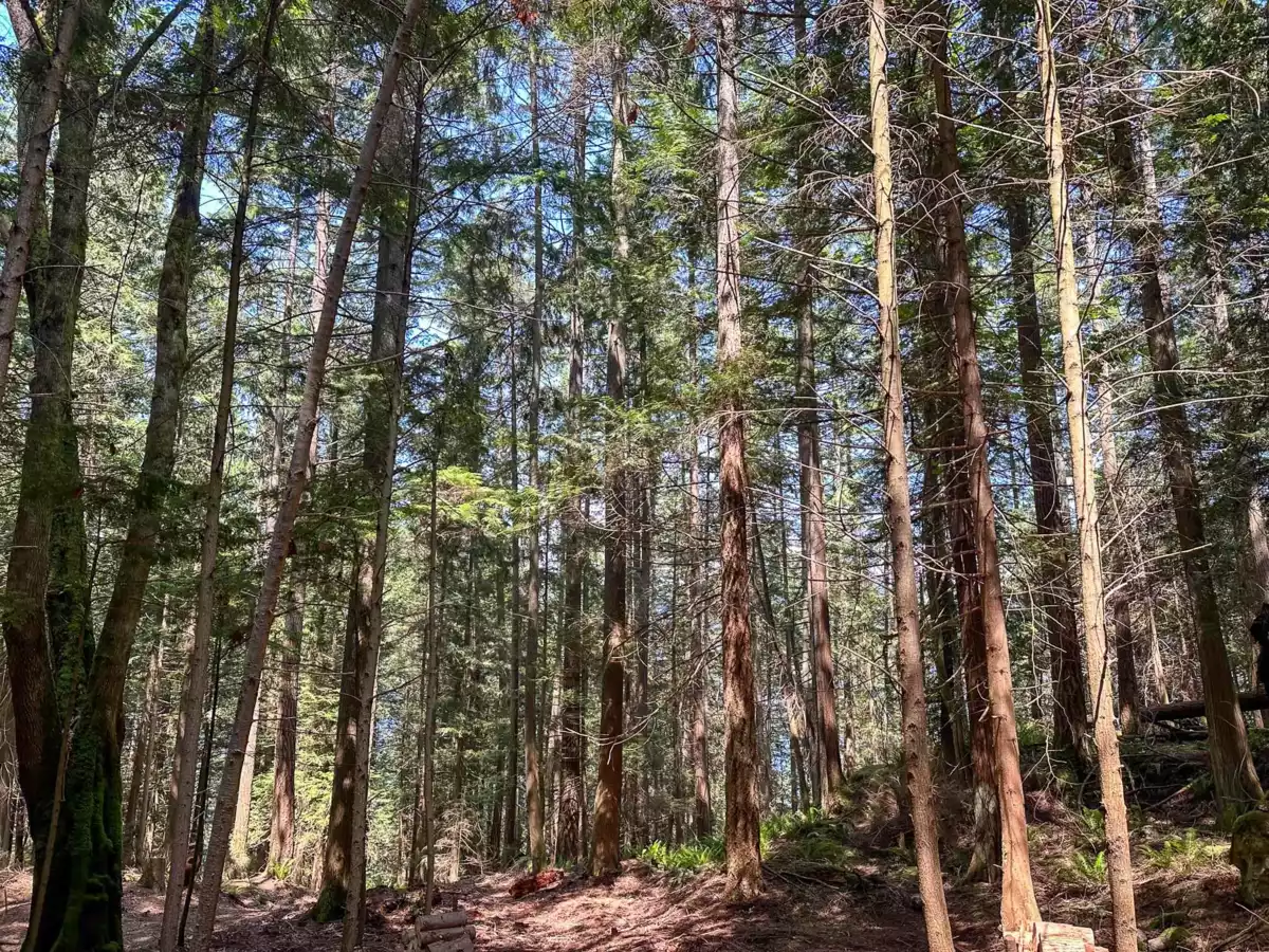 Aerial View of Lot 7 Cotton Point, Keats Island, BC
