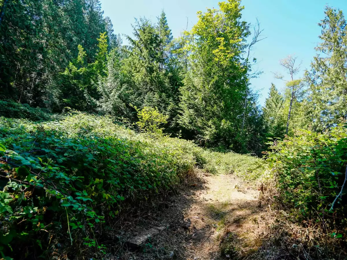 Staircase Photo of Lot 7 Cotton Point, Keats Island, BC
