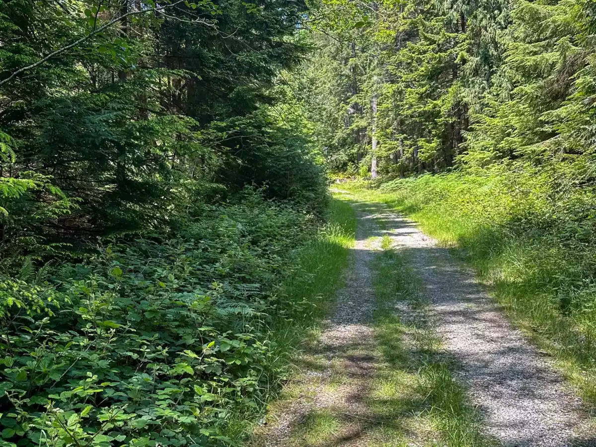 Street View Photo of Lot 7 Cotton Point, Keats Island, BC