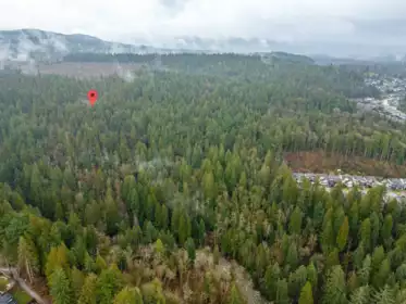 13800 236 Street, Maple Ridge, BC