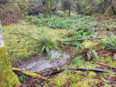 Backyard Photo of 23180 Porlier Pass Road, Galiano Island, BC
